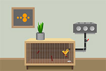 A Bonte Escape: Bird Escape