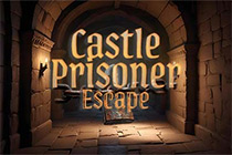 Castle Prisoner Escape