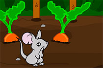 Marly Mouse Escape Garden