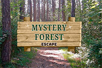 Mystery Forest Escape