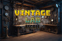 Vintage Lab Escape