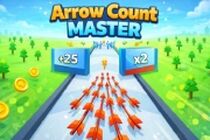 Arrow Count Master